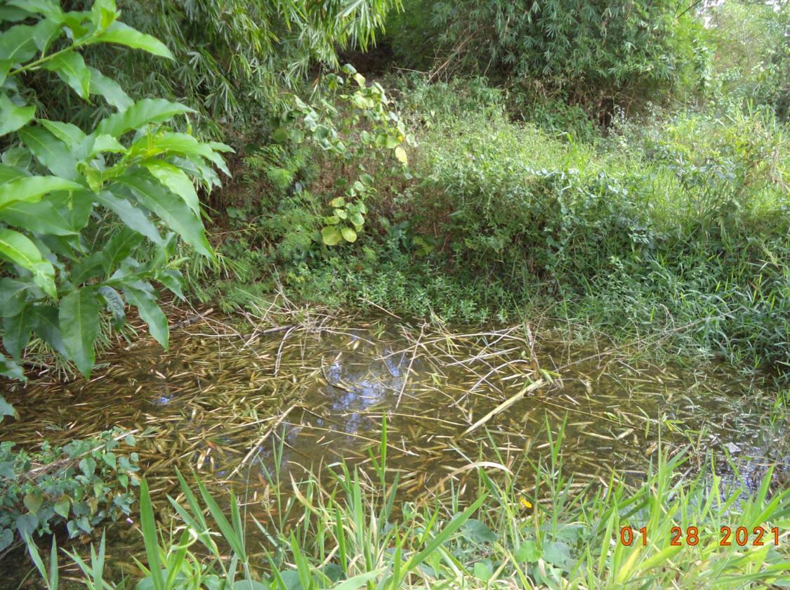 Secretaria de Meio Ambiente anuncia recuperação de nascentes em Rio Seco